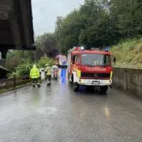 IMG_0084(1).JPEG